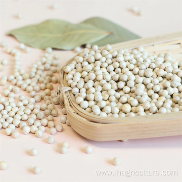 White Black Pepper Powder Steam Treatment Pepper Powder